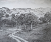 Tamworth Landscape