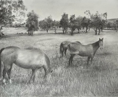 Yarranadabee