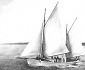 The Herald 1916