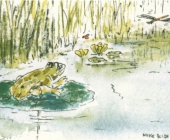 Frog on Lily