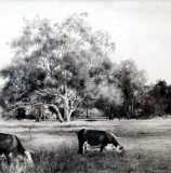Landscapes