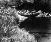 Mossman Gorge Down River